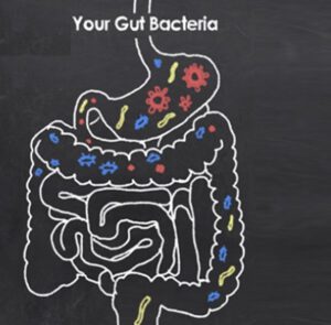 Healthy Gut
