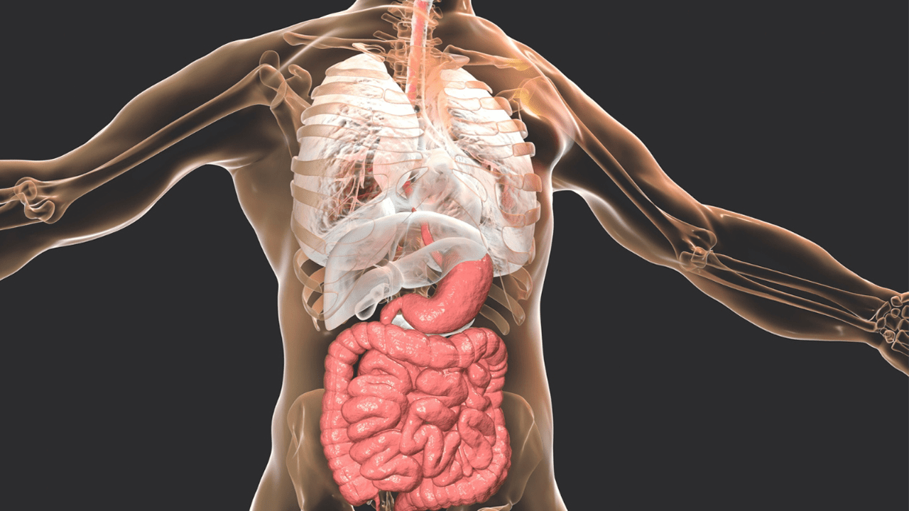 A-Healthier-Gut