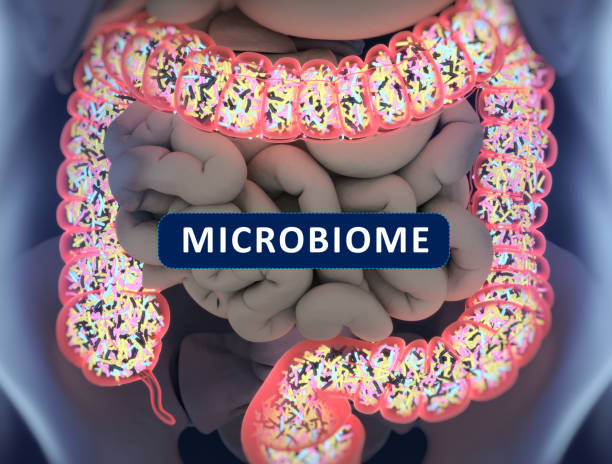10 Ways To Strengthen Your Microbiome
