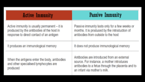 passive-Immunity-vs-active-immunity