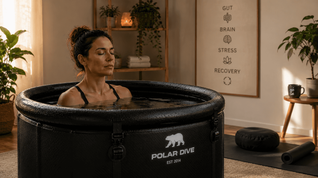 Polar Dive